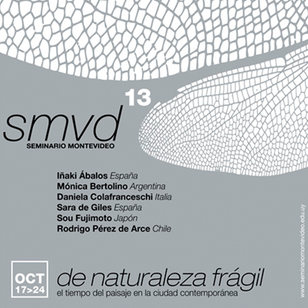 Read more about the article SMVD13